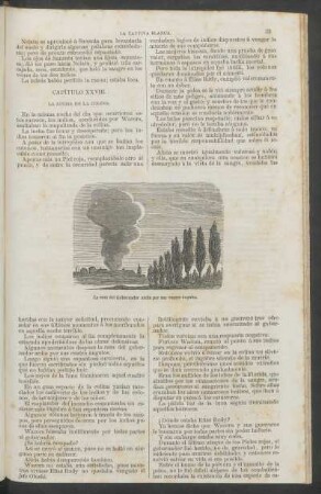 Capítulo XXVIII. - La lucha en la colina.