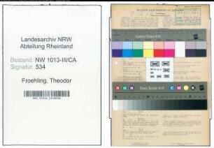 Entnazifizierung Theodor Froehling , geb. 23.07.1890 (Vertreter)