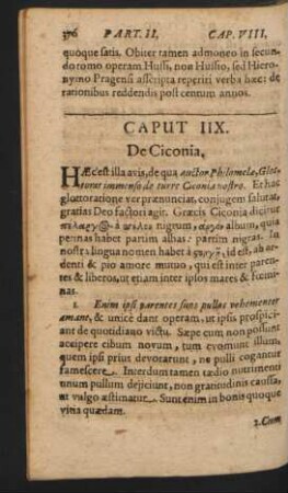 Caput IIX. De Ciconia.