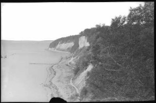 Hengst. Kreidefelsen bei Sassnitz