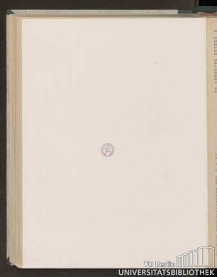 Glockenblume (Campanula macrantha)