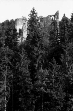 Herrenzimmern: Burg Herrenzimmern, seitlich von der Straße