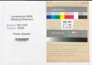 Entnazifizierung Baerbel Roske, geb. 14.06.1908 ()