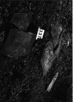 Grabstein 337 (Index: 99898029) Zustand: liegend, zerbrochen: Grabstein 337 (Übersichtsaufnahme)