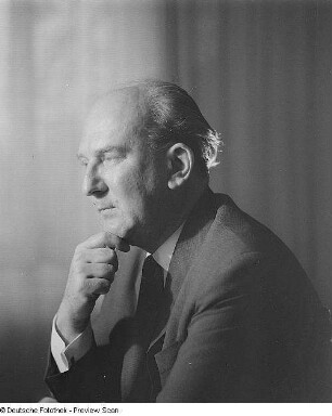 Porträt Prof. Dr. Werner Hartmann