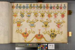 Proband: Schade, Ludwig von; Vater: Schade, [Rotger] von; Mutter: Riedesel (Reitesell), [Catharina] von: Westfalen, Hzgtm, Ritterschaft