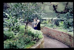Zoo Neues Vogelhaus 2.3.63.