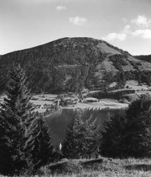 Allgäuer Alpen, Grosser Alpsee bei Immenstadt, Bühl mit Immerstädter Horn