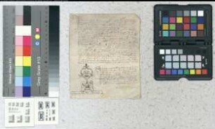 Notariatsinstrument, in welchem Adelheid, die Ehefrau Heinrich Stapels bekennt keinerlei Nießbrauchsrechte an dem halben dem Priester Sander von Horen zustehenden Zehnten zu Ballhorn zu haben.