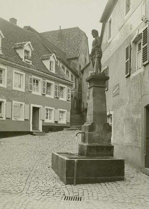 Blieskastel, Herkulesbrunnen