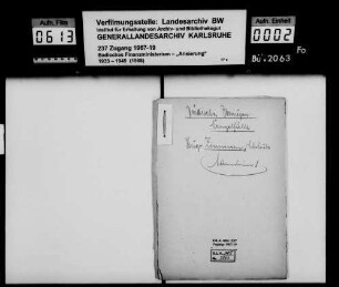 Ehe- und Schenkungsvertrag Hugo Zimmern, Eheleute in Mannheim