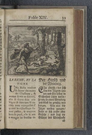 Fable XIV. : La biche, et la vigne. Der Hirsch und der Weinberg.