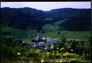 Menzenschwand: Hinterdorf von der Passstraße