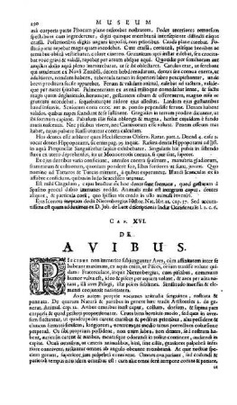 Cap. XVI. De Avibus