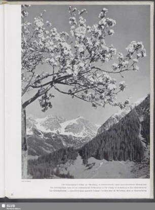 Die Schafalpköpfe bilden für Mittelberg im Kleinwalsertal einen unverkennbaren Hintergrund