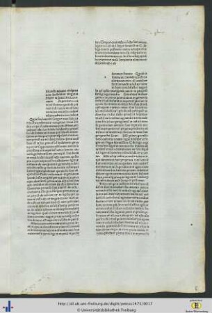 Repetitio cap. Canonum statuta de constitutionibus.