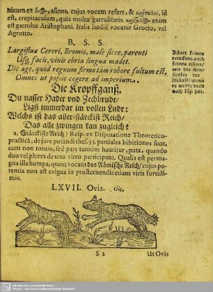 LXVII. Ovis