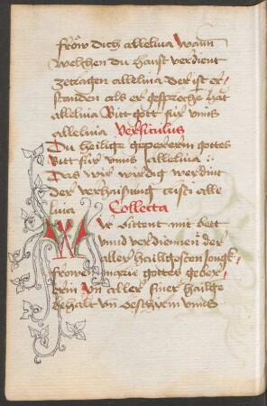 Initiale W (mit ergänzten Rankenausläufern, Federzeichnung)