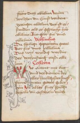 Initiale W (mit ergänzten Rankenausläufern, Federzeichnung)