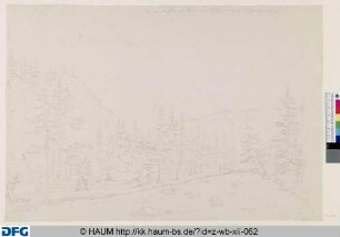 Der Niedersumpf Klee von Rübeland nach der Marmormühle