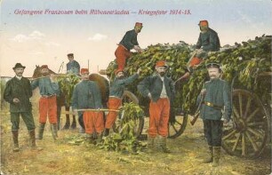 Gefangene Franzosen beim Rübenverladen - Kriegsjahr 1914-15.