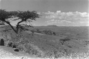 Hochfläche : Blick auf die scheinbar fruchtbare Hochfläche zwischen Gondar und Debark.