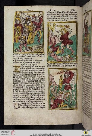 Das xvii capitel wye [cristus] gegen seinen veinden ging.