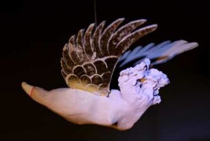 ENGEL 19-5