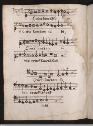 Joannes Petrus Aloysius Praenestinus : Crucem sanctam subiit