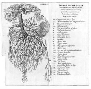 Pro Faciliori Rei Intelli Gentia Placvit Hac Icone Ex. [...]