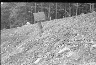 Sindelfingen, Kaufwaldtunnel, Bepflanzung der Böschung
