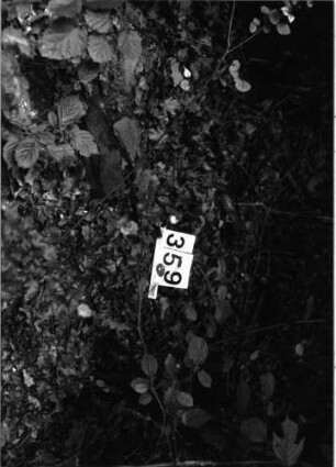 Grabstein 359 (Index: 99897988) Beschreibung: Fragment: Grabstein 359