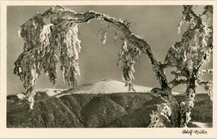 Blick zum Feldberg
