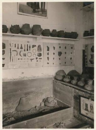 Schloss Stauchitz : Bronzezeitliche Fundstücke aus der Sammlung von Zehmen