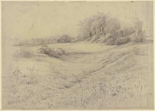 Waldlandschaft bei Kronberg