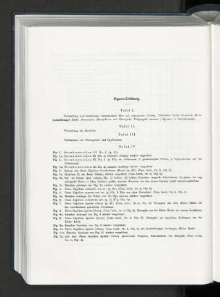 Figuren-Erklärung.