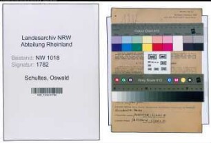 Entnazifizierung Oswald Schultes , geb. 15.05.1899 (Dreher)