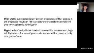 Adaptation to the cervical environment is associated with increased antibiotic susceptibility in Neisseria gonorrhoeae
