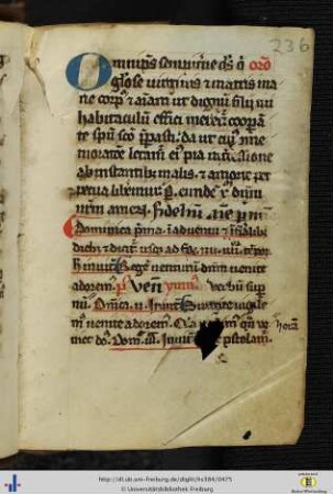 [236r - 262r] Liber ordinarius matutini.