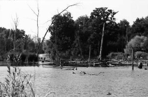 Taubergießen: See im Taubergießen; mit Paddlern
