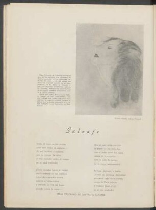 Salvaje