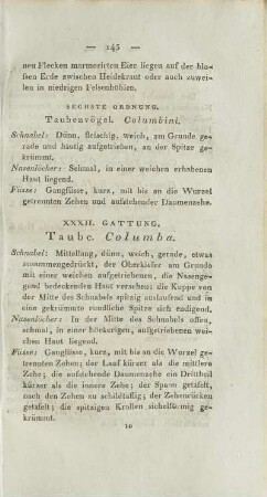 XXXII. Gattung. Taube. Columba