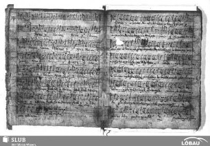 Hammerschmidt, Andreas: Missa â 12