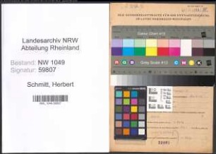 Entnazifizierung Herbert Schmitt , geb. 05.03.1908 (Kaufmann)