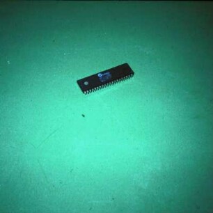 Chip