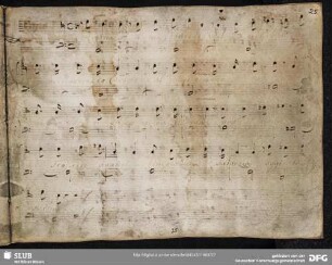 Recitativo: Regina a tua bontade