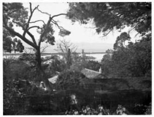 Blick von den Alameda-Gärten auf die Bucht von Gibraltar : Mittelmeerreisen. Blick von den Alameda-Gärten auf die Bucht von Gibraltar