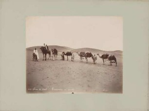Kamel-Karawane in der Wüste in Ägypten