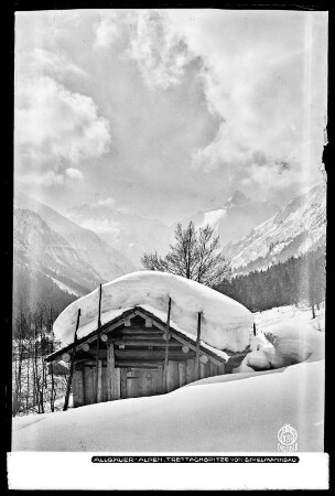 Allgäuer Alpen, Trettachspitze von Spielmannsau