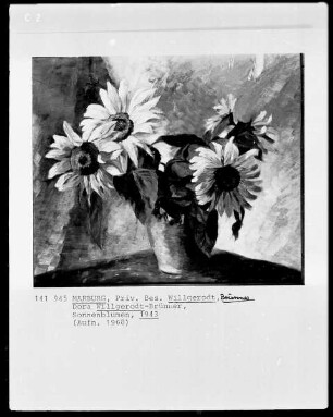 Sonnenblumen